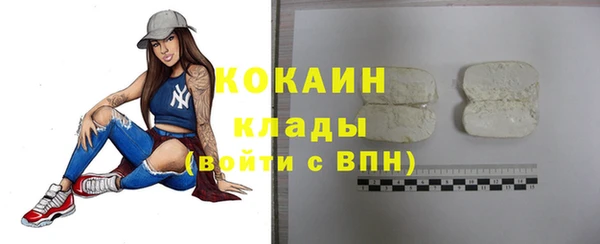 МДПВ Абаза
