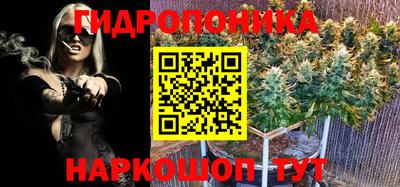 spice Можга