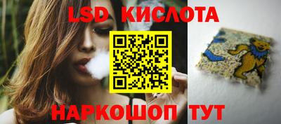 spice Можга