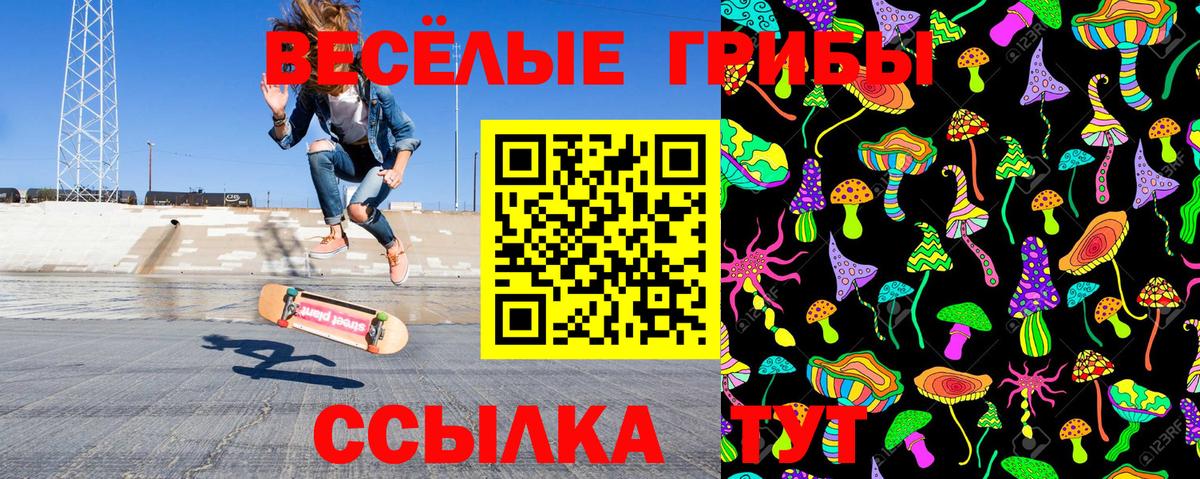 Чебаркуль  Псилоцибиновые грибы Cubensis  Псилоцибиновые грибы Psilocybine cubensis  Вход с VPN 