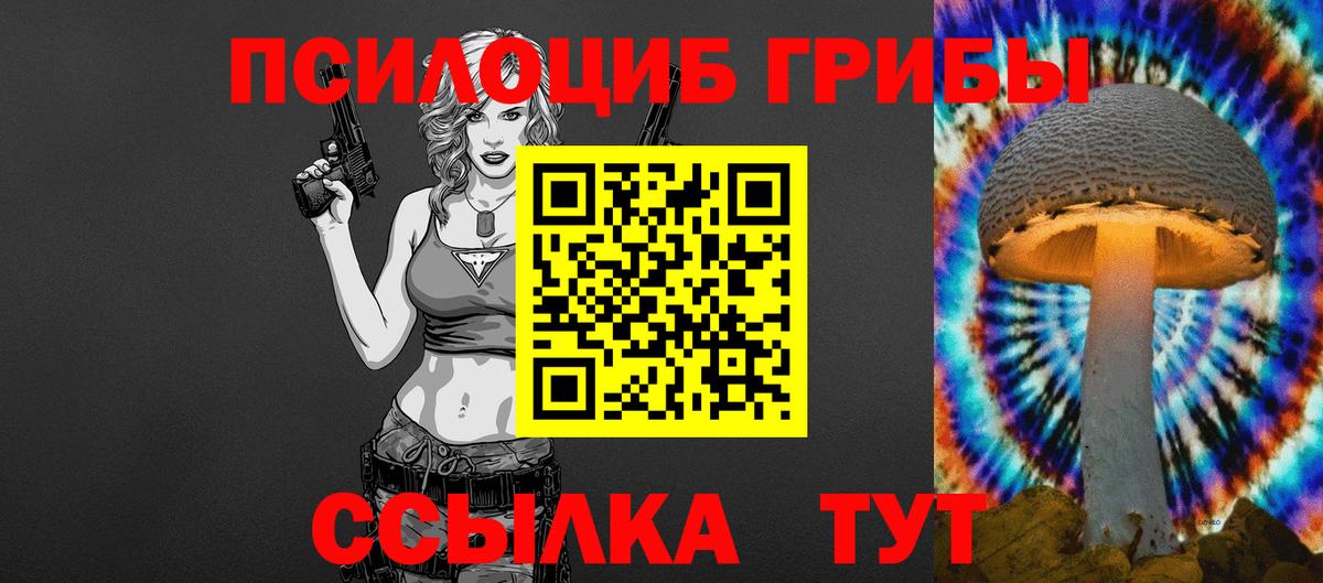 Галлюциногенные грибы Psilocybe Чебаркуль
